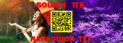 МДПВ Пенза