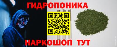 МДПВ Пенза