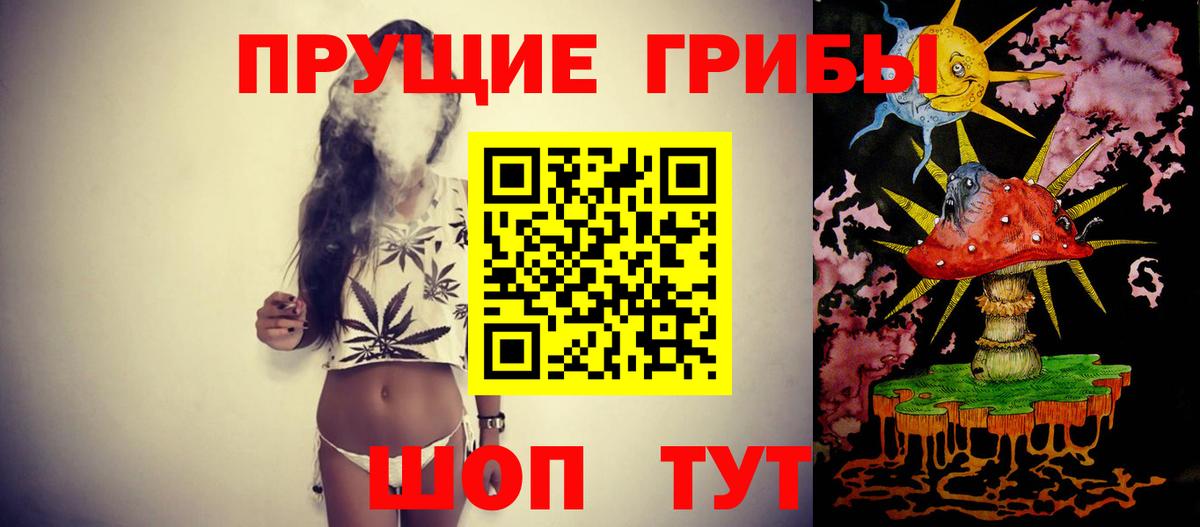 Псилоцибиновые грибы GOLDEN TEACHER Ростов-на-Дону